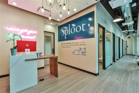 Sploot vet - Central Park. Opening April '24. 2000 Chester St Suite C, Aurora, CO. We are a trusted, modern vet clinic in Denver, focused on providing top-notch care and …